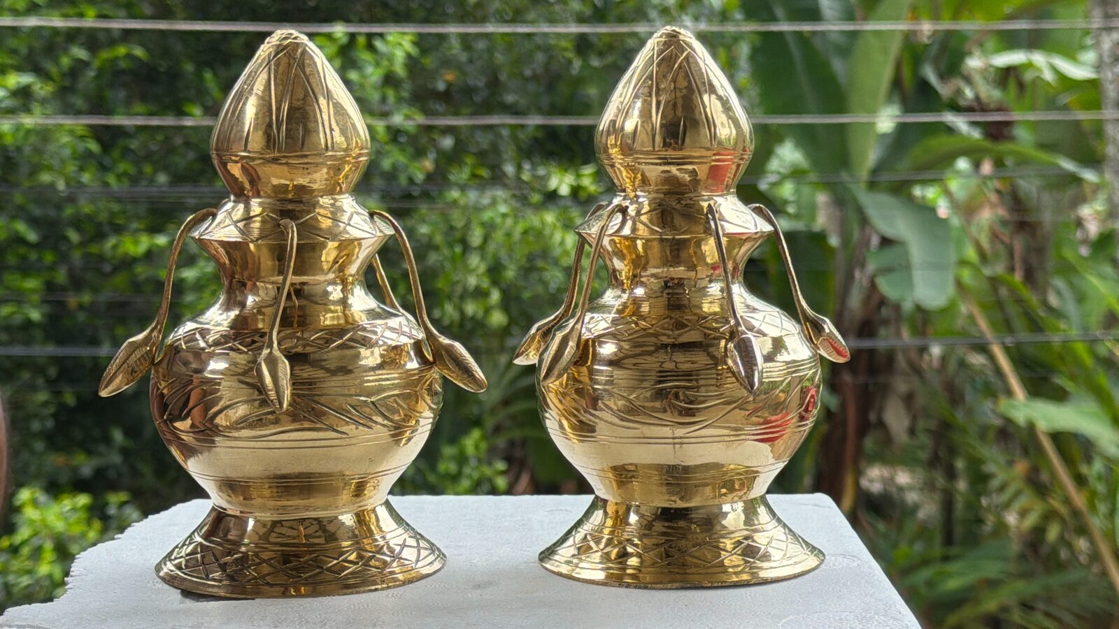 Pair of Handled Ceremonial Vases